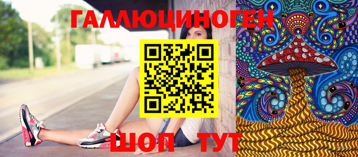 Гудермес  Псилоцибиновые грибы MAGIC MUSHROOMS  Вход с VPN 